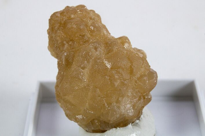 Citrine Quartz Star Pseudomorph after Ikaite - Morocco #345830